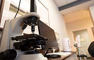Micrscope used to examine bacteria